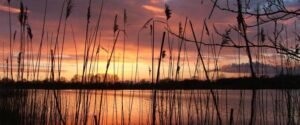 Nature Reserves In And Around Glastonbury